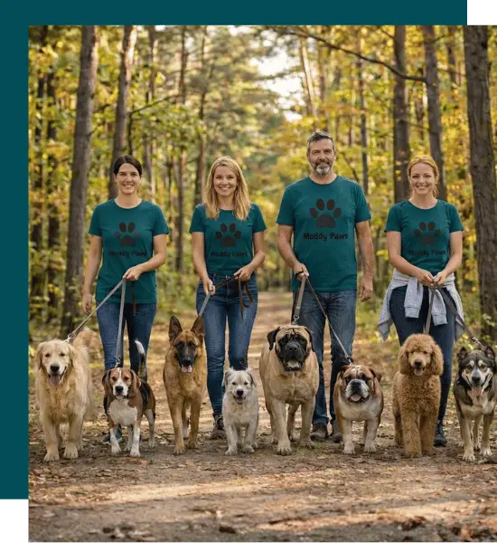About Muddy Paws Professional Muddy Paws Dog Walker Providing a 60-Minute Group Walks